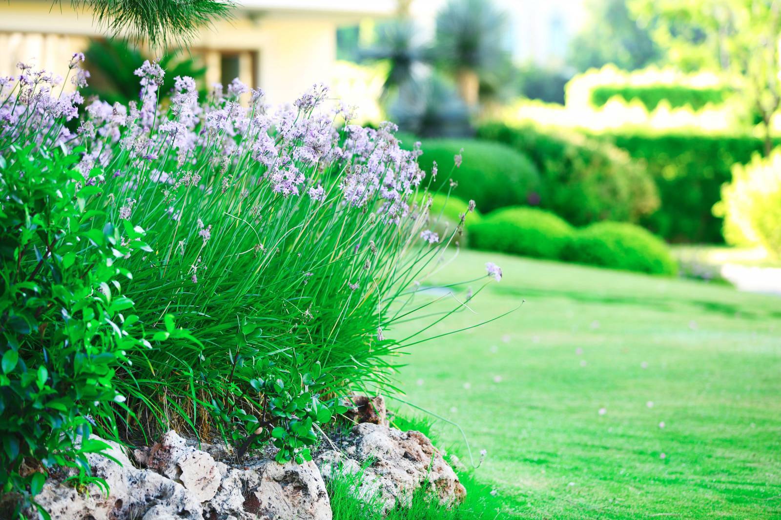 Jardinerie pour acheter des articles de jardin et animaux proche de Fécamp