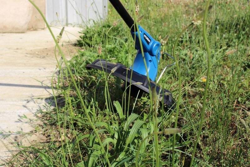 Entretenir mon terrain avec un coupe bordure thermique près de Bolbec 76