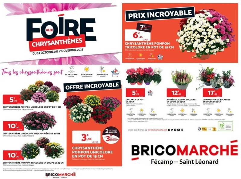 FOIRE AUX CHRYSANTHÈMES BRICOMARCHÉ JARDINERIE SAINT-LEONARD