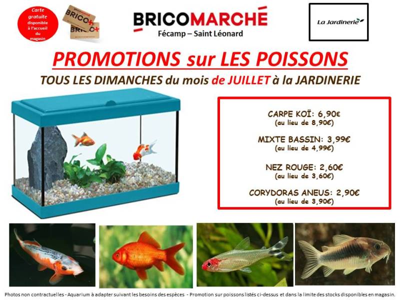 Promotions sur les POISSONS chaque dimanche à la JARDINERIE BRICOMARCHE Saint Léonard à proximité de Fécamp