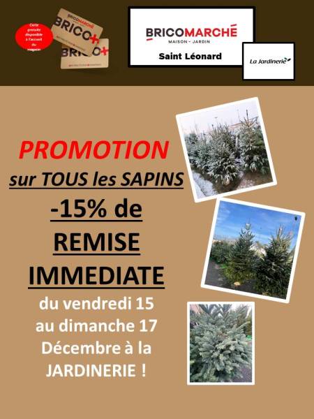 Promotion sur tous les sapins : -15% de remise immédiate dans votre JARDINERIE BRICOMARCHE Saint Léonard à proximité de Fécamp !