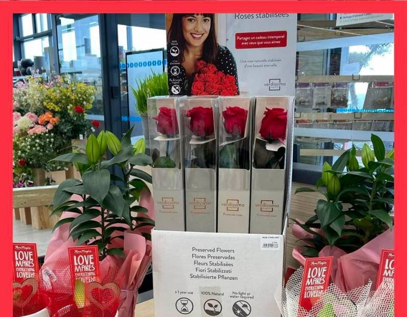 Magasin où trouver des roses stabilisées éternelles à proximité de Fécamp.