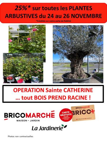 OPERATION SAINTE CATHERINE : 25%  à la JARDINERIE BRICOMARCHE Saint Léonard à proximité de Fécamp